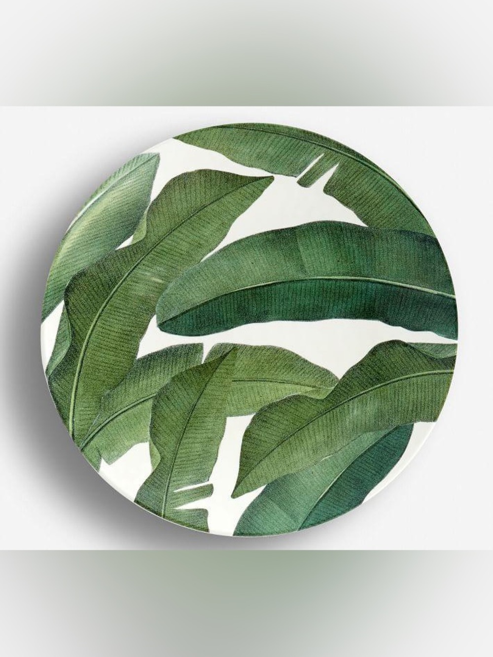 Pottery Barn Melamine Outdoor Dinner Plate Banana Palm Print Set of 4
